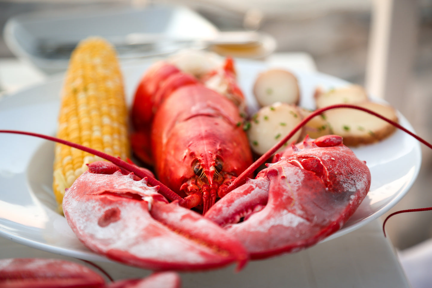 Boston Common Lobster Boil