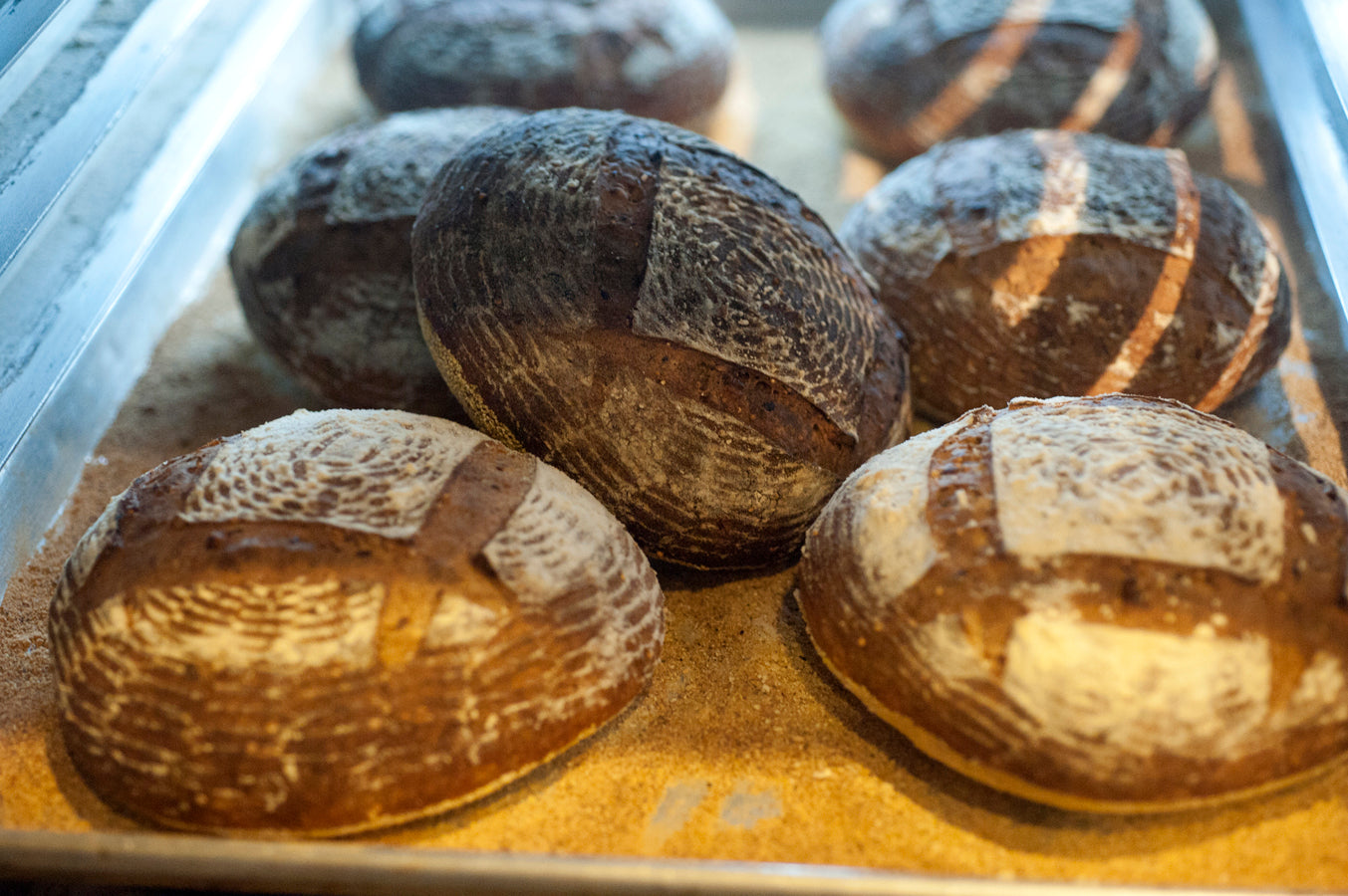 multigrain sourdough baking kit